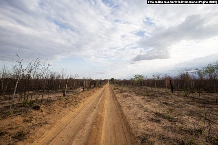  - portal de angola